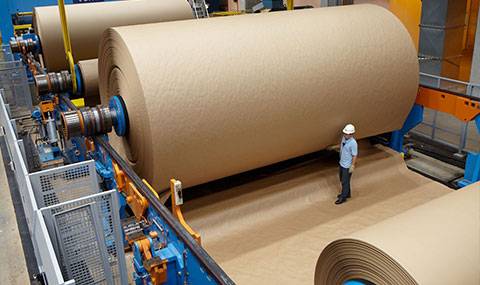 segmento-papel-e-celulose